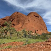 Olga Zarichna expert in movement culture